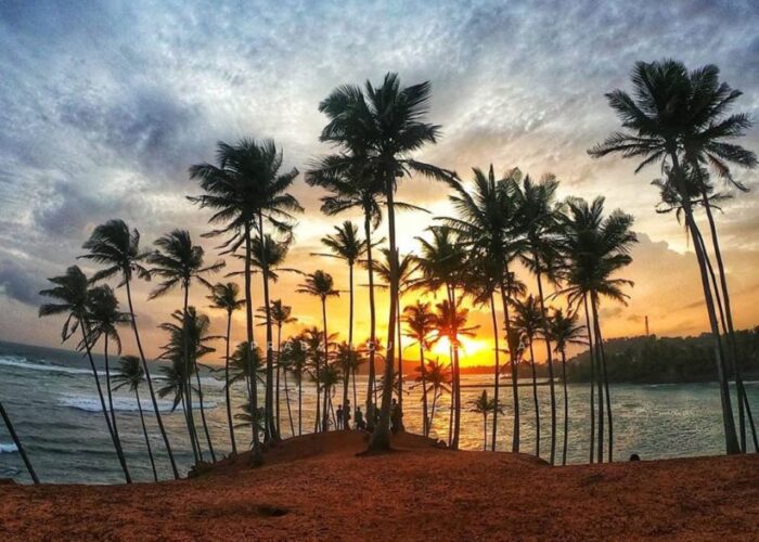 Coconut tree hill mirissa 3